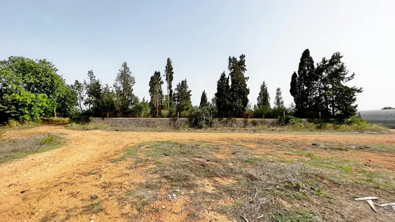Finca to be rebuilt for sale in Felanitx Pueblo — photo 4