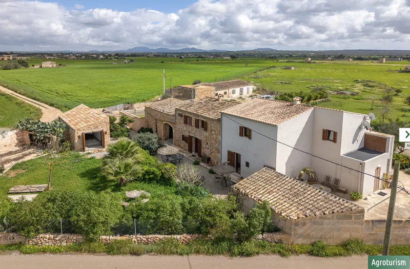 Commercial in Campos — photo 5