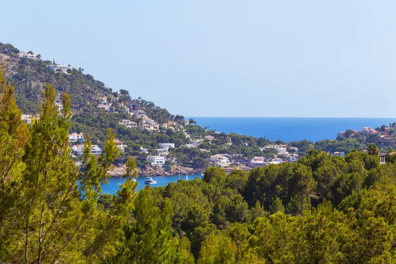 Villa in traditional finca style with harbour sea views for rent — photo 4