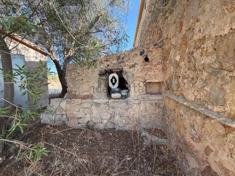 Estate in peri-urban zone, Inca — photo 8