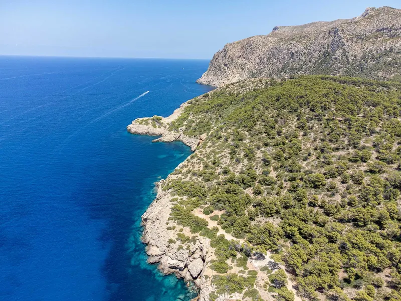 Sant Elm: Six plots in a natural area in Sant Elm — photo 1