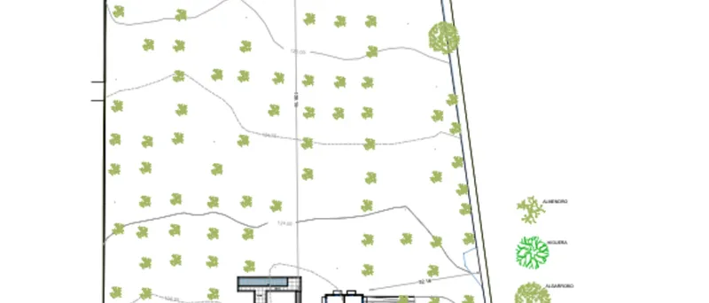 Large plot in Binissalem with license for the construction of a finca — photo 7