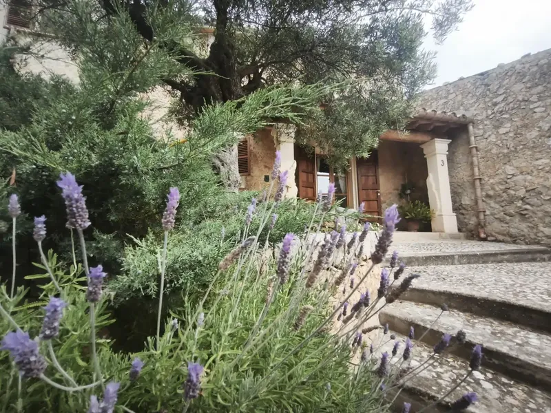 A refuge with soul in the Tramuntana — photo 6