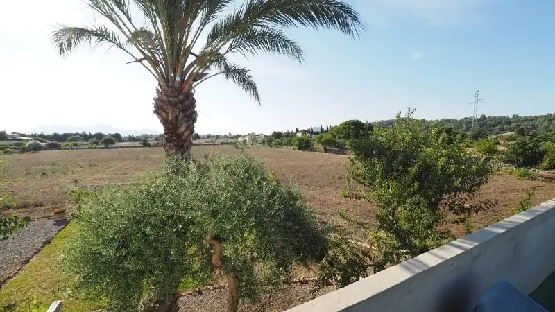 Finca in Puerto Pollença of 241 m2 with vacation rental license, updated in 2016, located on a plot of 14,614 m2, with license — photo 7