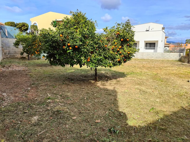 Plot for sale with project in Son Ferrer, Calvià — photo 12