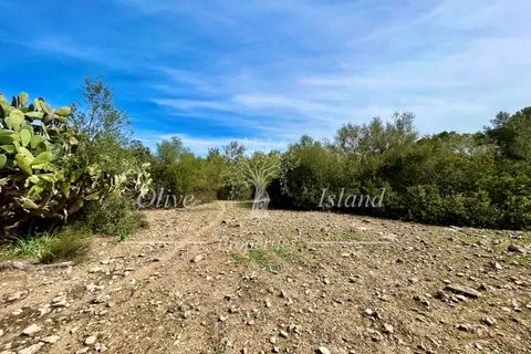 Ruin in Sineu, Mallorca — photo 12
