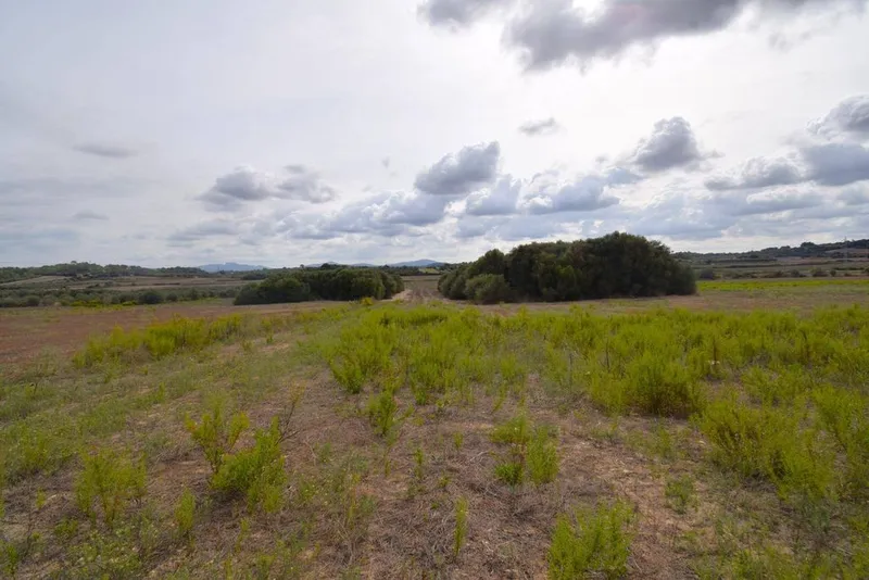 Land in Muro, Province of Balearic Islands — photo 1