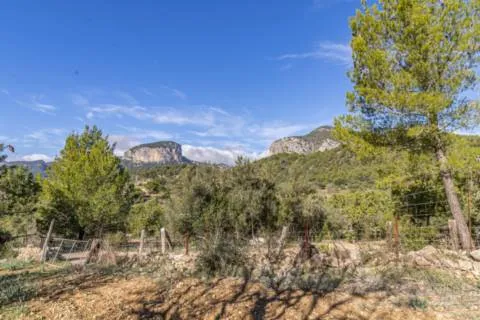 Rustic finca — photo 2