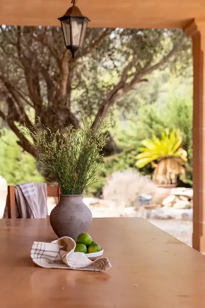 Discover the authentic essence of the Mallorcan countryside with this charming rustic finca located in Lloseta, enjoying spectacular views — photo 9