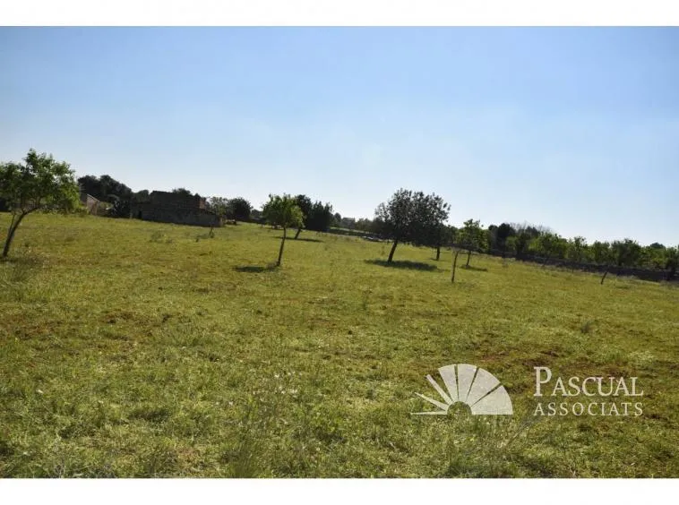 Finca with sea views and approved project in Santa Margalida — photo 2