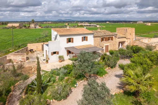 Campos: Authentic finca with agrotourism licence and approved renovation project — photo 3