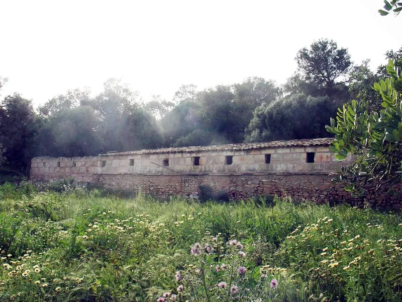 Exclusive rustical plot... — photo 4