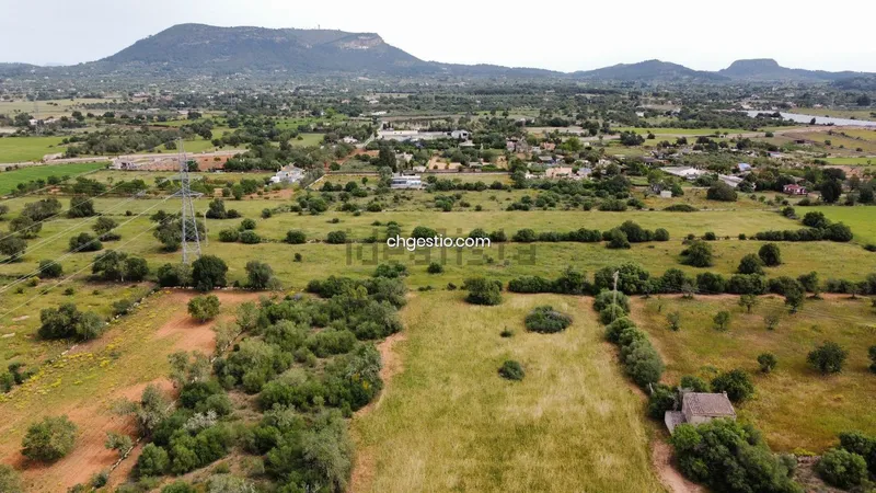 Plot in Llucmajor — photo 2