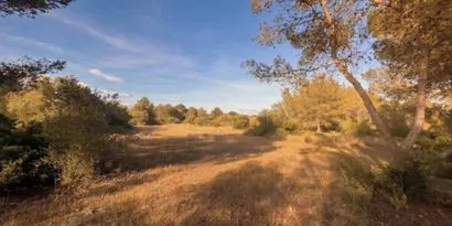 Real estate picture 0 Ref. No. 83673 — photo 4