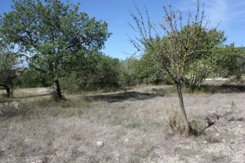 Plot — photo 6
