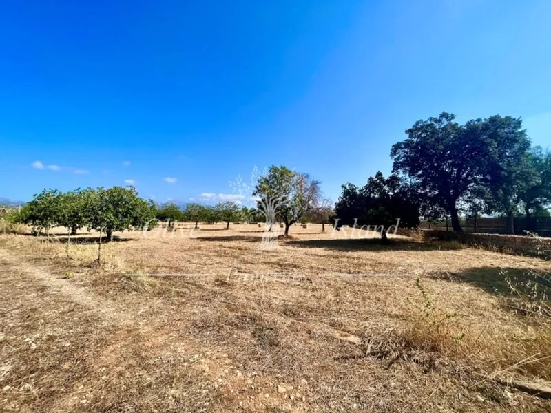 Land in Inca, Province of Balearic Islands — photo 7