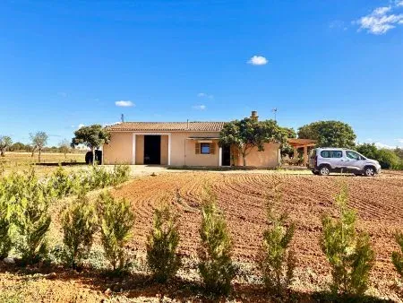 Finca in Porreres — photo 2