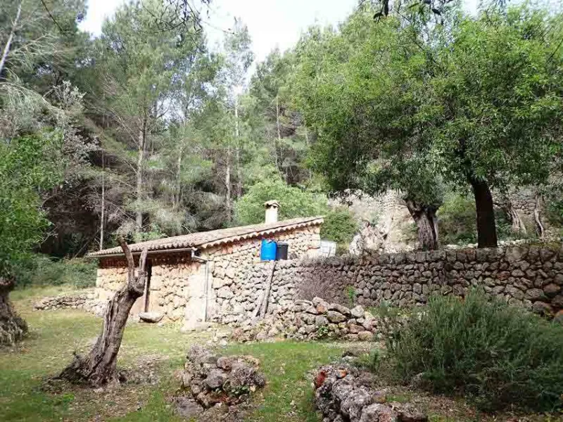 Nice olive grove with porch in Fornalutx — photo 3