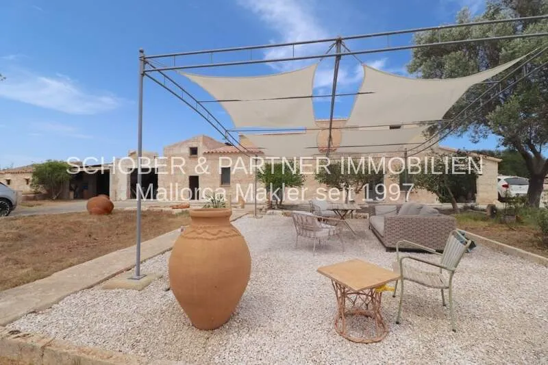 5,000 m² finca with 6 bedrooms, 3 bathrooms and conservatory for sale — photo 6