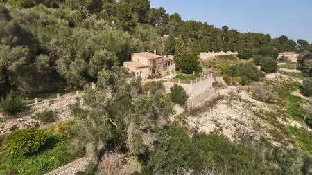 Rustic property - Llucmajor (Llucmajor (Campo)), Built Surface 1132m2, Plot Surface 171521m2, 5... — photo 6