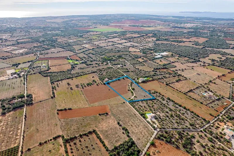 Plot in Ses Salines: The Perfect Place to Create Your Home in Mallorca — photo 6