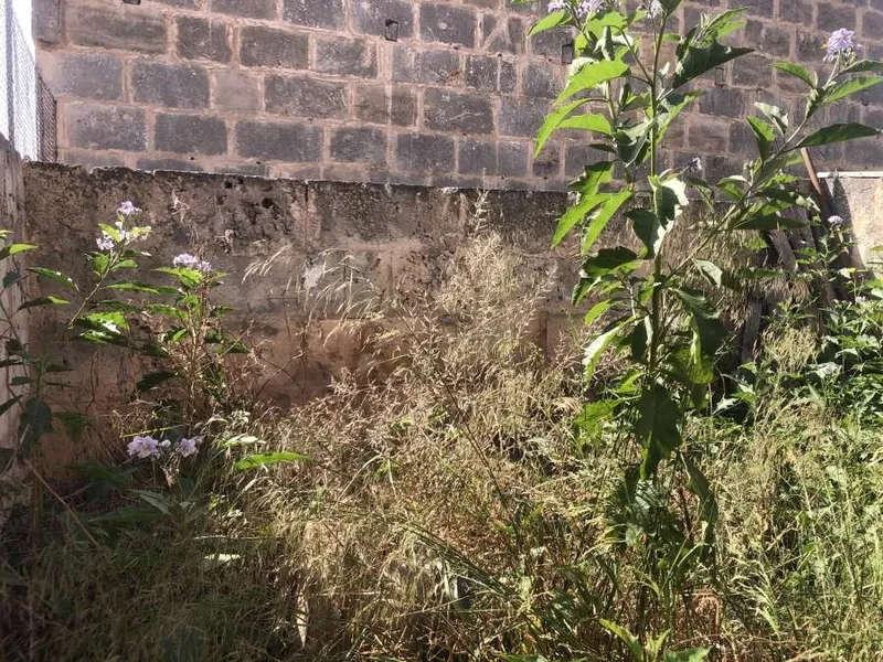 Central urban plot on a quiet street in Ses Salines — photo 2