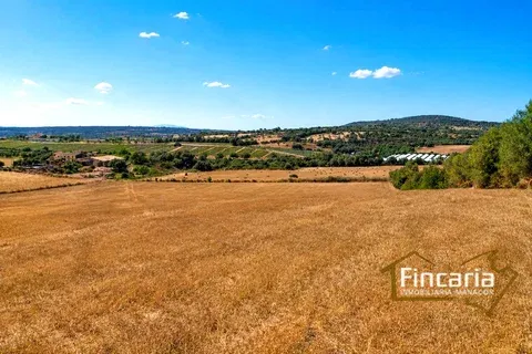 Land in Manacor, Mallorca — photo 1