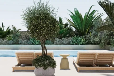 Village house in Marratxinet (Marratxi), Mallorca — photo 9