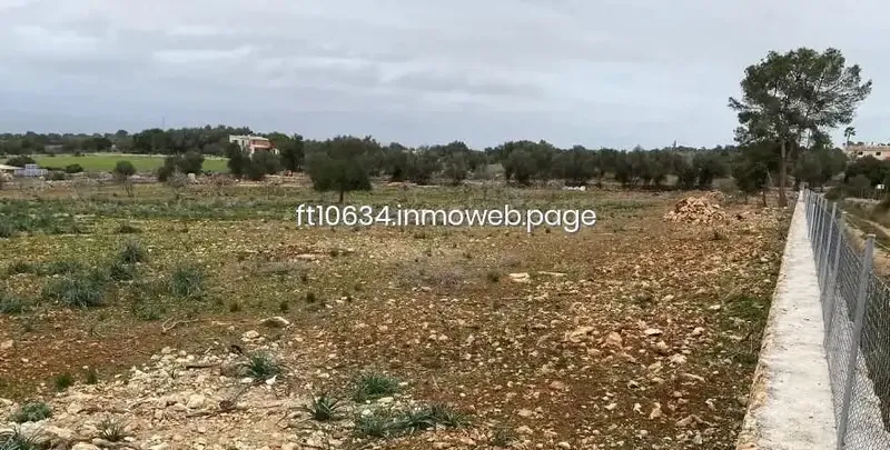 Only 3 km from the village of Sineu, we have this finca completely enclosed by Mallorcan dry stone wall and with a gate. Buildable land — photo 4