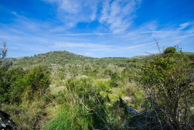Finca to renovate in the hills before Artà — photo 4