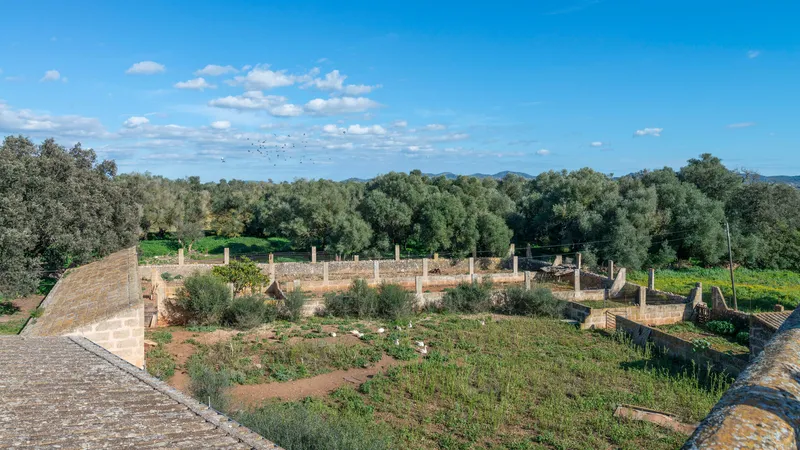 Fantastic finca in Vilafranca de Bonany with project and building license, large plot for investors — photo 12