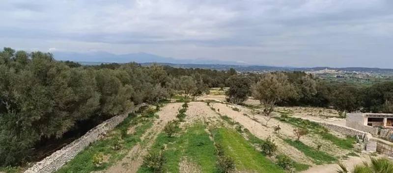 Rural or Farmhouse in Montuïri, Province of Balearic Islands — photo 6