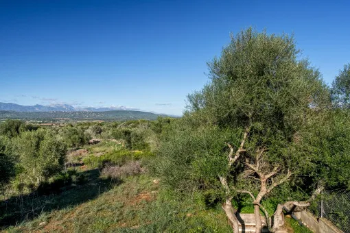 S'Aranjassa, beautiful finca project in S'Aranjassa — photo 2