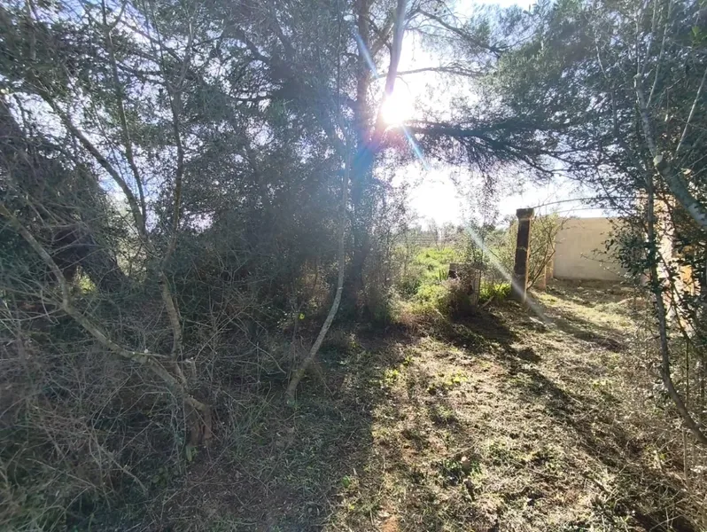 Rustic finca for sale on the outskirts of Inca - with project and valid license — photo 3