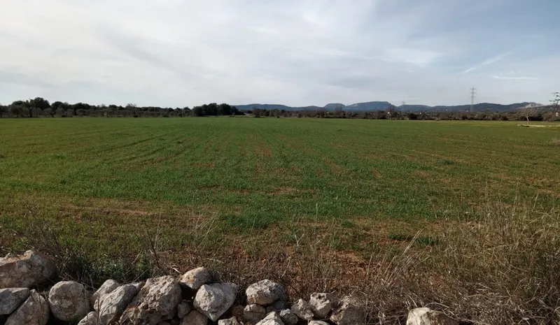 Country Plot near Campos — photo 2