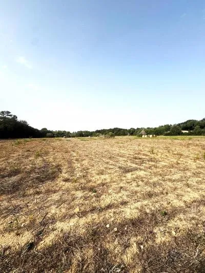 Rural Land - Sineu, Plot Surface 21,300 m² — photo 4