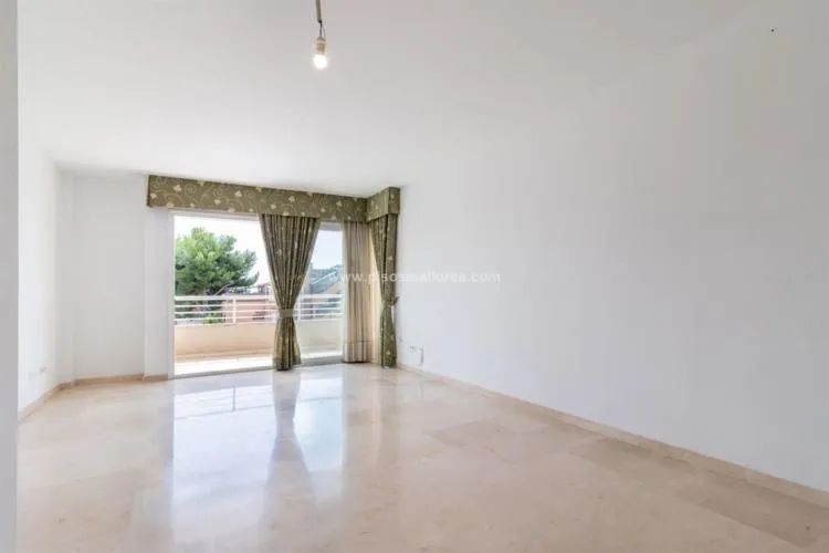 Apartment in Palma de Mallorca — photo 6