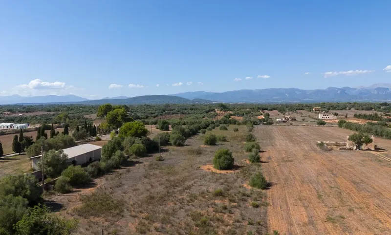 Rustic plot in Algaida — photo 2
