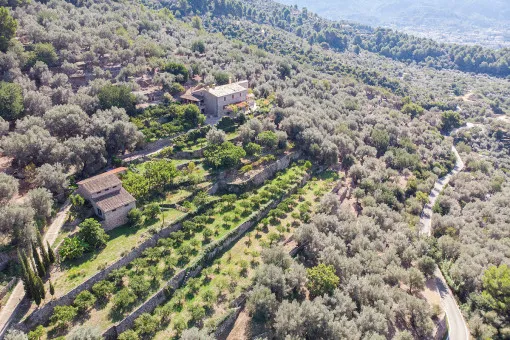 Sóller: Exceptional finca estate with its own vineyard and beautiful views near Sóller — photo 1