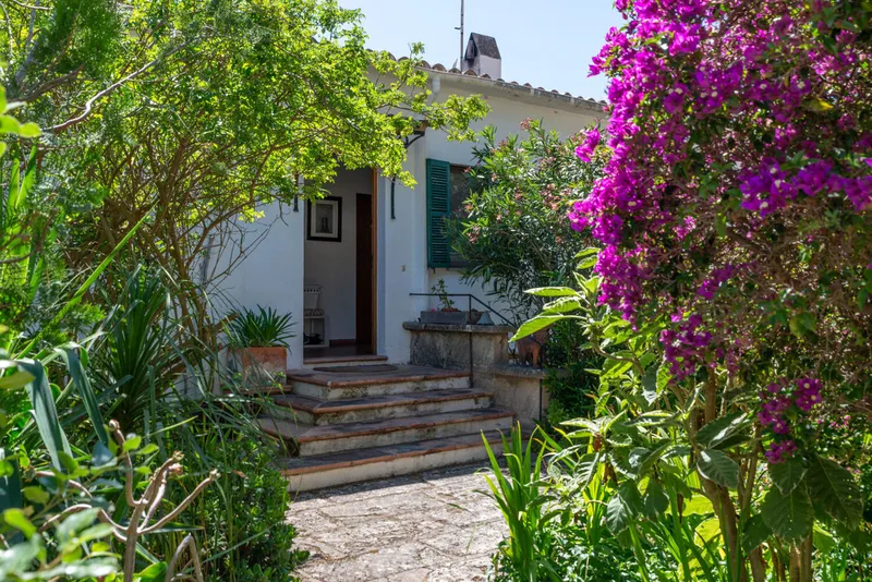 Two plots with development potential near the port of Puerto de Andratx — photo 5