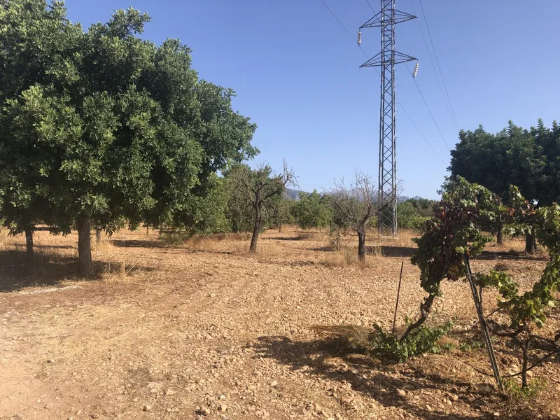 Building plot for sale between Santa Maria and Consell with stunning views — photo 2