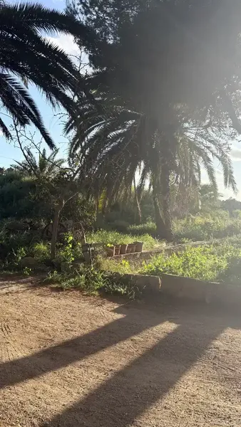 Habitación para uso individual en coliving en Palma, vivienda en plena naturaleza pero a la 15 minutos del centro, incluidas facturas: elect — photo 10