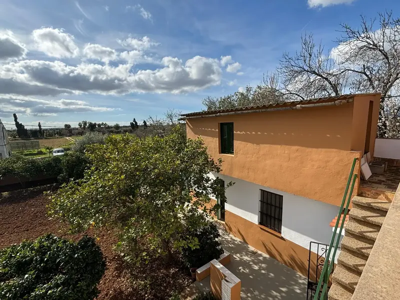 Investment opportunity in Cas Metge – Marratxí — photo 11
