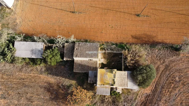 Rustic finca in Campos — photo 5