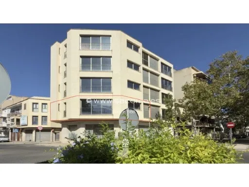 Brand new fabulous office/study in the center of Manacor — photo 1