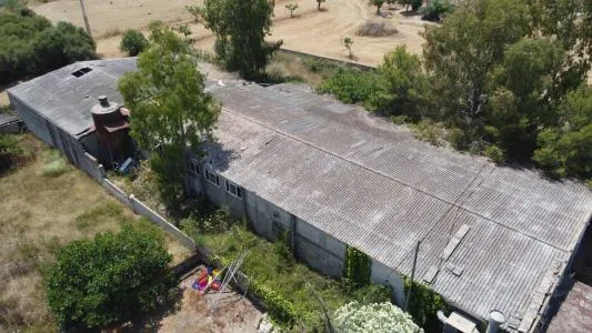 Industrial Unit - Búger (Buger) — photo 5