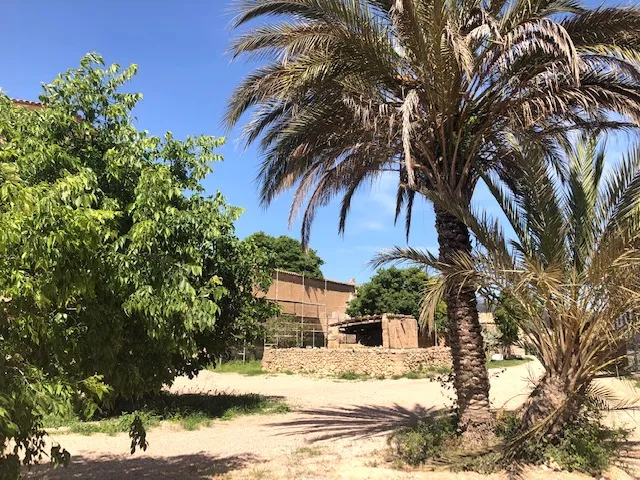 Possessio de Son Dameto — photo 5