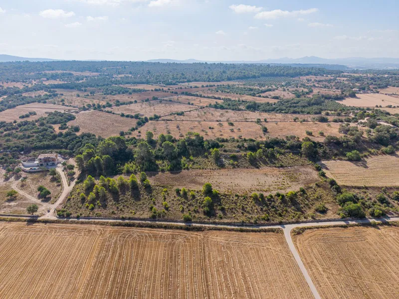 Buildable plot of 29,547 m² with open views in Petra — photo 4