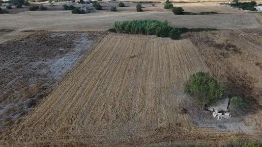 Rustic Land - Maria de la Salut — photo 11