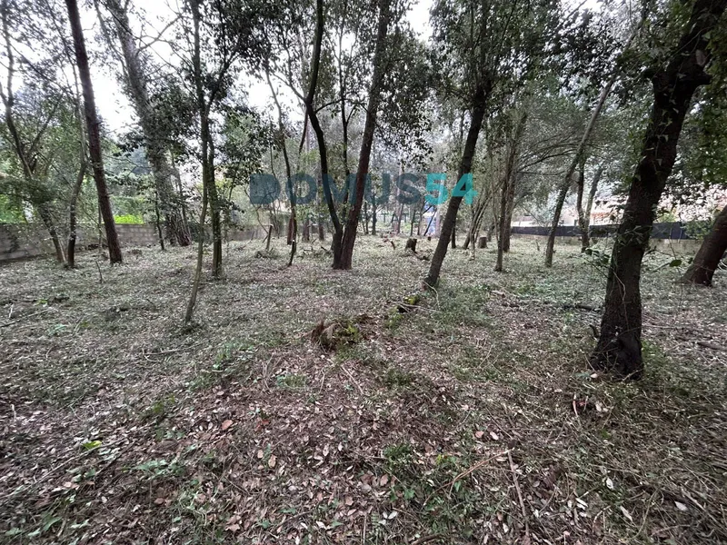 Urban plot in Son Toni Sa Pobla — photo 9
